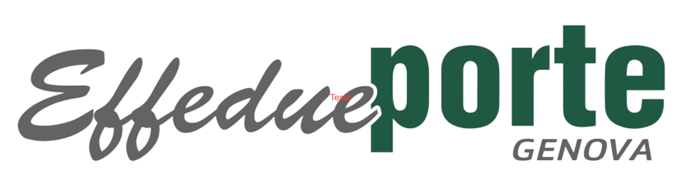 LOGO Effedueporte contorno bianco